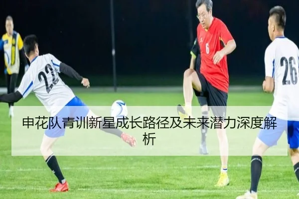申花队青训新星成长路径及未来潜力深度解析